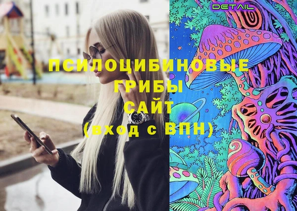 СК Кинешма