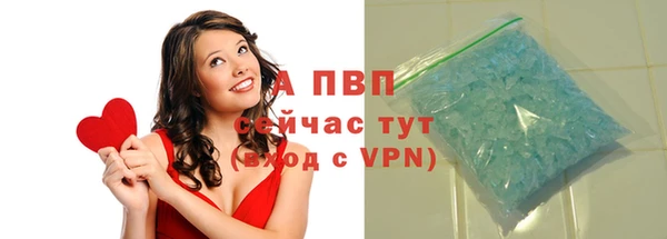 дмт Касимов