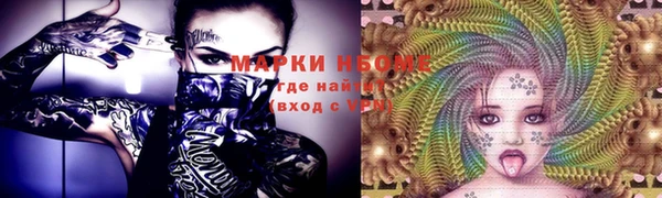 дмт Касимов