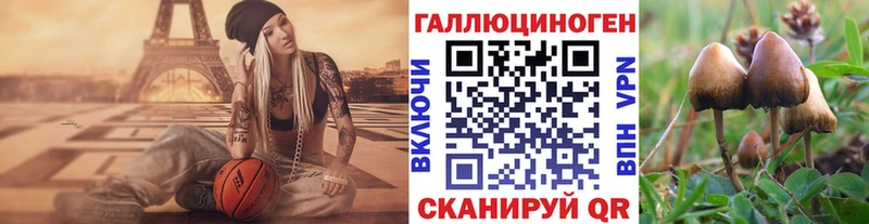 Галлюциногенные грибы мухоморы  как найти наркотики  Нижнекамск 