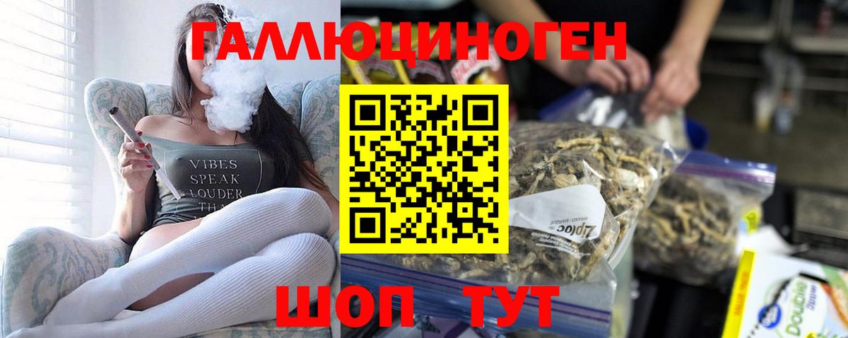 где купить наркоту  Псилоцибиновые грибы Psilocybe  Вход с VPN  Нижнекамск 